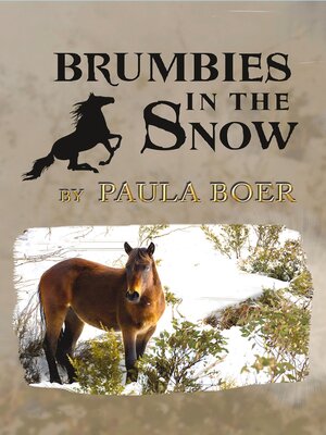 cover image of Brumbies in the Snow